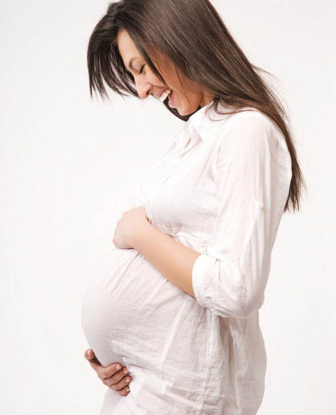 Fotolia_13463107_Subscription_Monthly_XL-683x10242